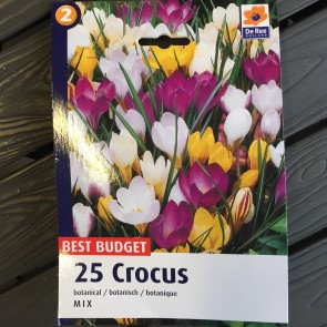 køb tulipan lg online 
