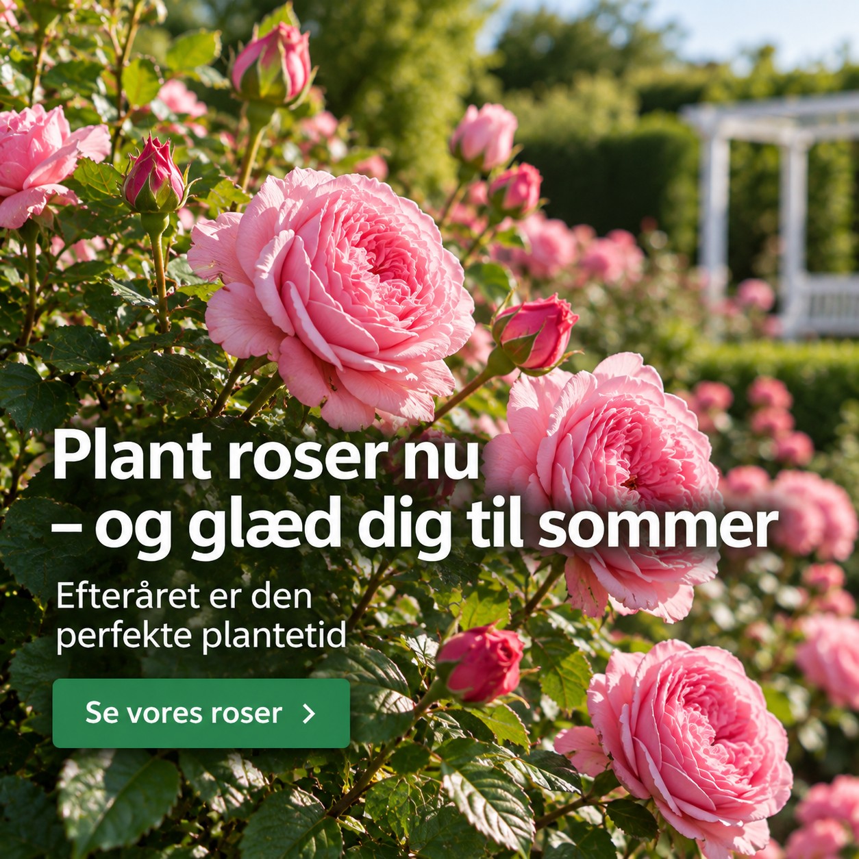 Plant krukkerne efter&aring;r